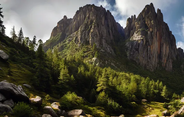 Картинка forest, sky, trees, nature, mountains, clouds, rocks, digital art