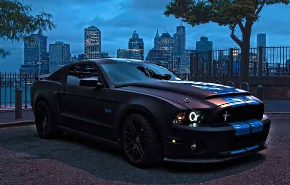 Купе, высокотехнологичный вариант, ford mustang shelby gt500