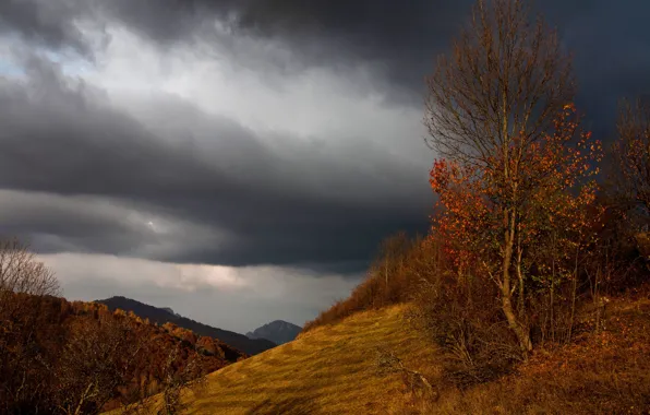 Осень, небо, деревья, горы, тучи, природа, дерево, листва
