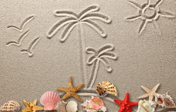 Картинка песок, рисунок, ракушки, texture, sand, drawing, starfish, seashells