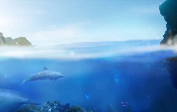 Картинка море, вода, рыбы, дельфин, игры, медузы, games, Ecco The Dolphin