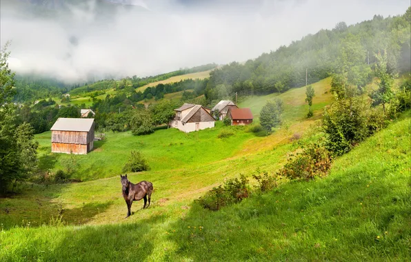 Картинка трава, туман, лошадь, дома, склон, сопки