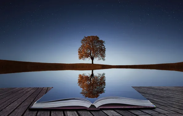 Картинка вода, отражение, дерево, книга