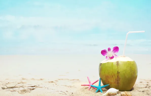 Картинка песок, море, пляж, лето, отдых, кокос, коктейль, ракушки