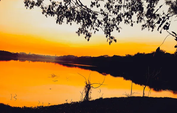 Sun, Water, Sunrise, Dawn, Morning, Lake, Trees, Reflection