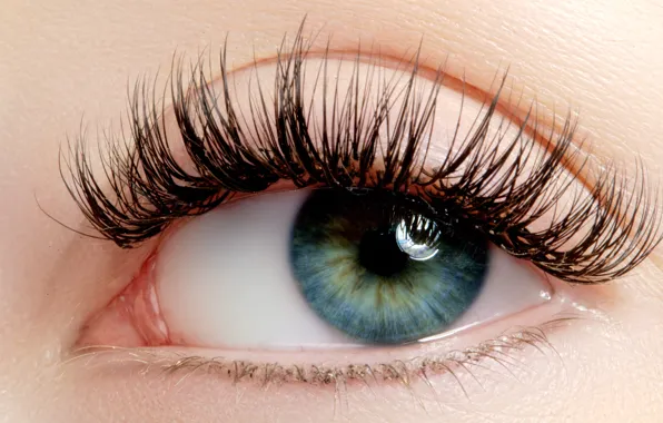 Картинка female, make up, extreme close up shot