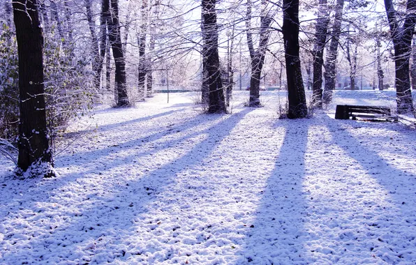 Park, winter, snow, cold
