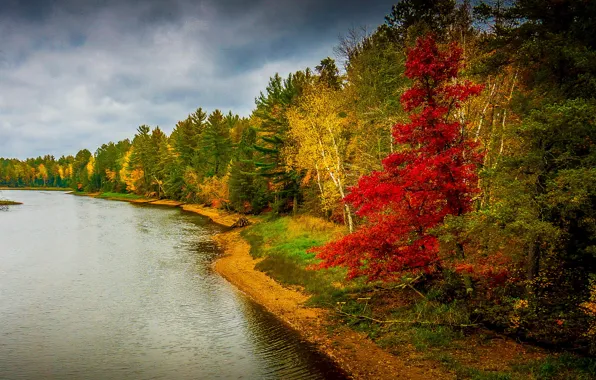 Картинка осень, лес, деревья, пейзаж, природа, река, фото