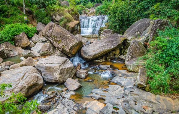Лес, камни, водопад, речка, Шри-Ланка, Nuwara Eliya