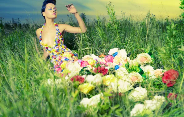 Картинка поле, трава, девушка, цветы, креатив, вечер, макияж, платье