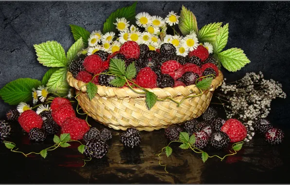Картинка цветы, малина, ромашки, ягода, натюрморт, ежевика, обои на рабочий стол, фото Елена Аникина