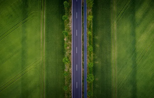 Дорога, поле, природа