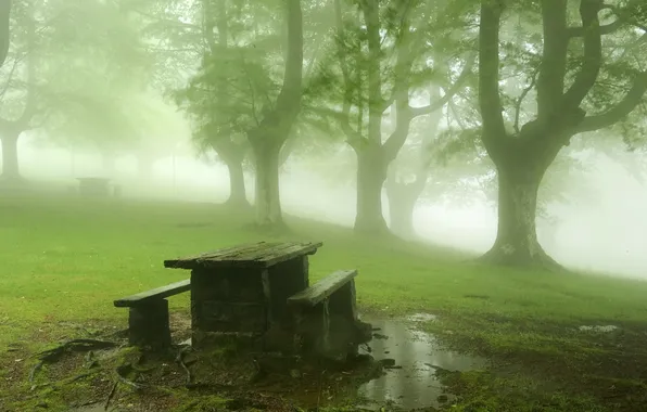 Картинка деревья, пейзаж, туман, парк, стол, скамья