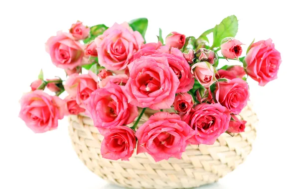 Цветы, розы, розовые, pink, bouquet, roses, basket