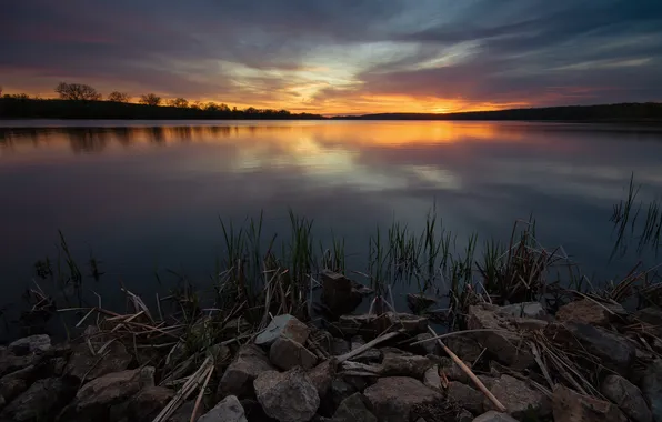 Картинка озеро, USA, США, Illinois, Штат Иллинойс, Округ Кук, Cook County