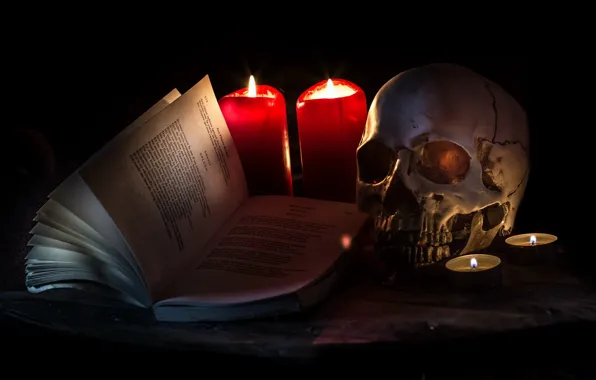 Фон, череп, книга