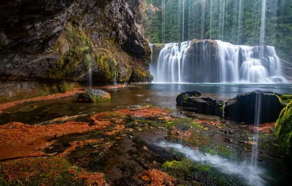Картинка лес, скала, река, водопад, каскад, Lower Lewis River Falls, Lewis River, Gifford Pinchot National Forest