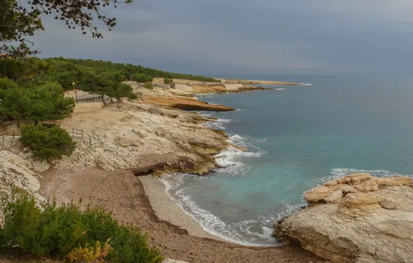 Море, природа, берег