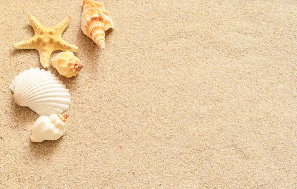Картинка песок, звезда, ракушки, sand, starfish, seashells