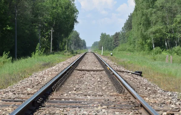 Nature, railway track, железнодорожные пути