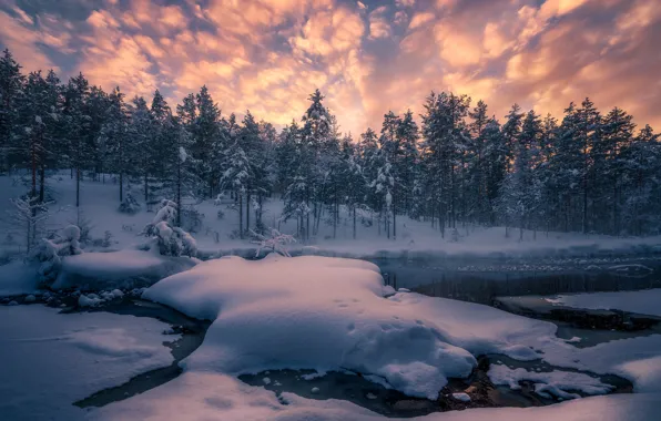 Картинка зима, лес, снег, деревья, река, Норвегия, сугробы, Norway