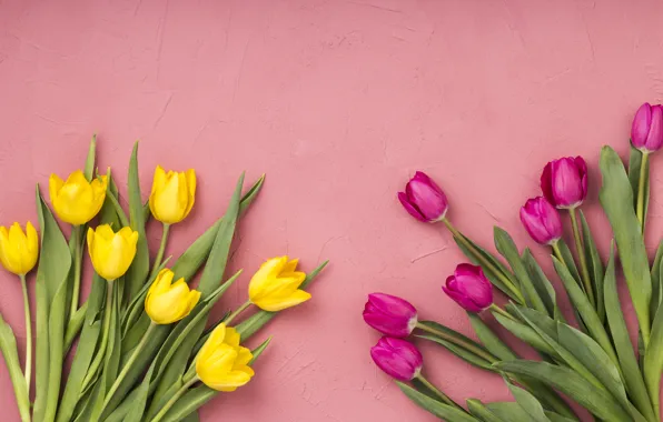 Цветы, тюльпаны, розовые, yellow, pink, flowers, tulips