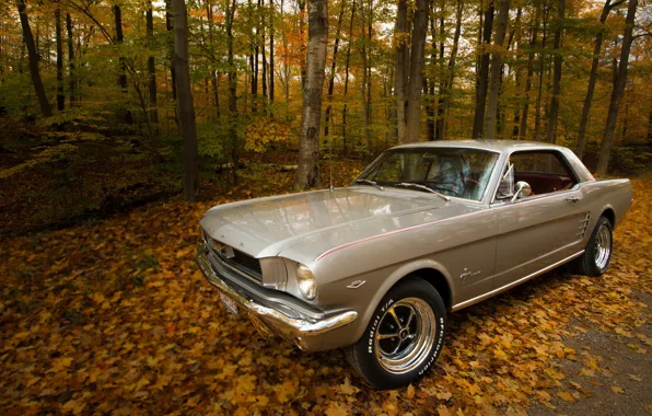 Картинка дорога, осень, 1966 Ford Mustang