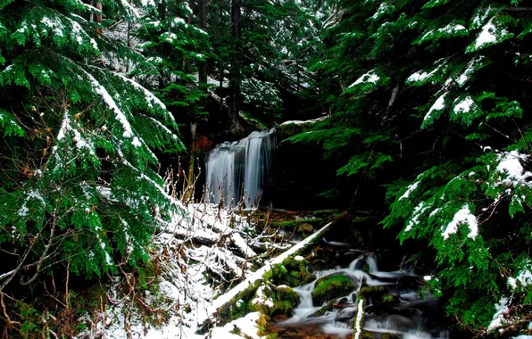 Картинка зима, лес, снег, водопад, хвойный