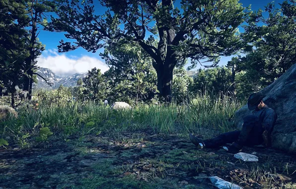 HDR, Game, UHD, Red Dead Redemption 2, Xbox One X, RDR2, Photography by Tom