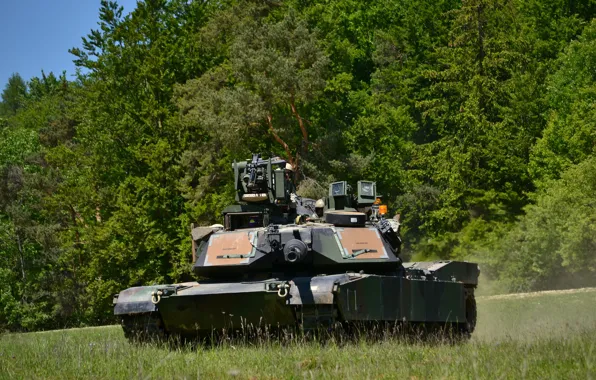 Картинка поле, лес, танк, бронетехника, Abrams, Абрамс, M1A2
