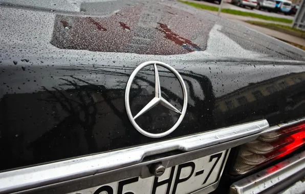 Mercedes benz, germany, W116