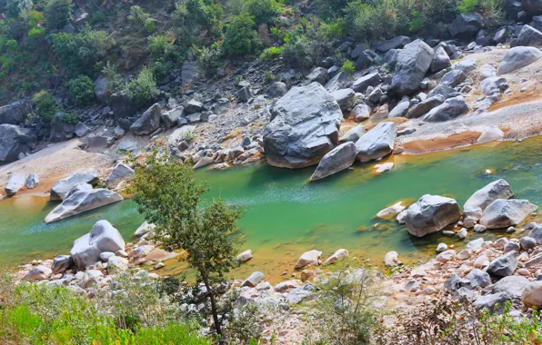 Mountain, River, India portrait