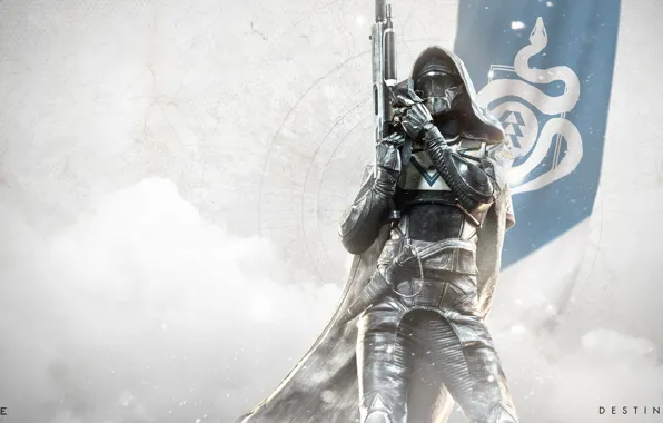 Gun, game, snake, Hunter, armor, weapon, flag, Destiny