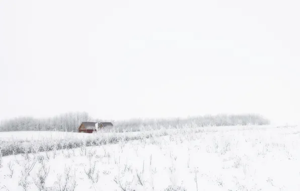 Картинка зима, поле, снег, дом