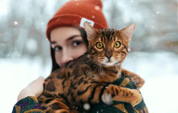 Зима, кошка, кот, взгляд, снег, шапка, мордашка, хозяйка