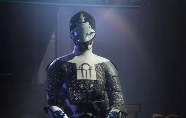 Фон, робот, Destiny 2