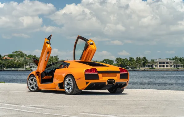 Lamborghini, Murcielago, lambo door, rear view, Lamborghini Murcielago LP640