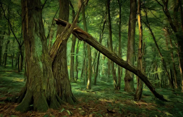 Картинка лес, деревья, digital painting