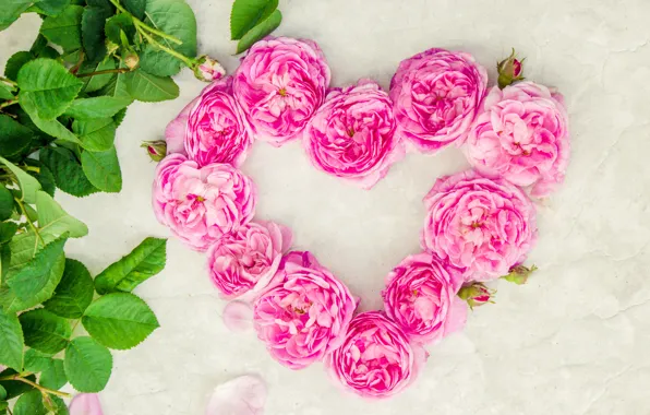 Любовь, цветы, сердце, розы, лепестки, love, розовые, heart