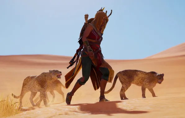 Game, Ubisoft, Assassin's Creed Origins, Assassin's Creed: Origins