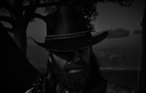 HDR, Game, UHD, Outlaw, Red Dead Redemption 2, Black & White, Xbox One X, Arthur …