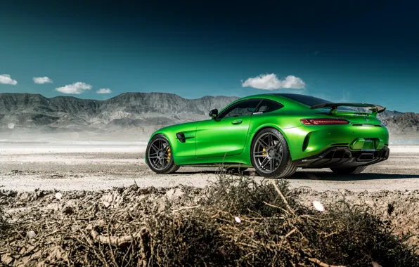 Небо, природа, зеленый, стиль, вид сзади, передок, Mercedes GTR