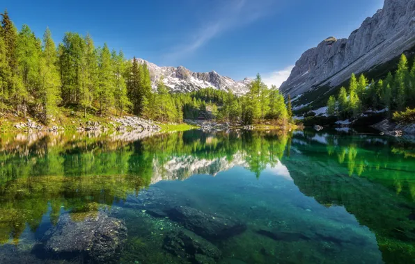 Лес, деревья, горы, озеро, отражение, Словения, Slovenia, Юлийские Альпы