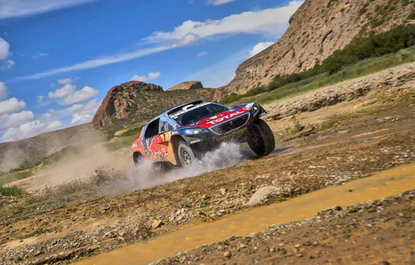 Вода, Песок, 2008, Спорт, Скорость, Гонка, Peugeot, Брызги