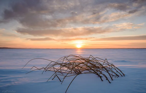 Картинка солнце, снег, закат, Природа, Jeff Wallace