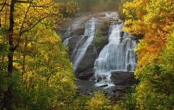 Картинка осень, лес, деревья, водопад, North Carolina, Северная Каролина, DuPont State Forest, High Falls