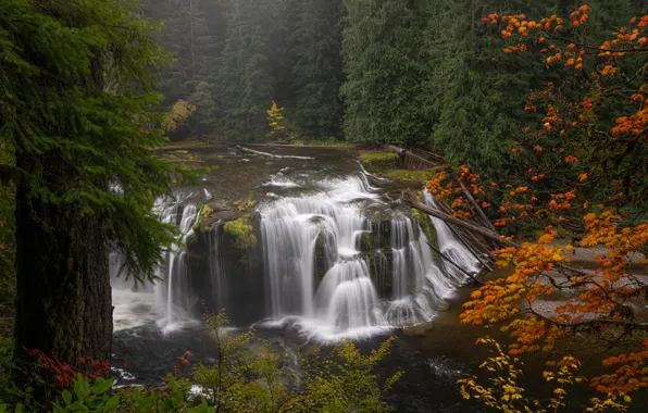 Осень, лес, деревья, скалы, берег, листва, вид, водопад