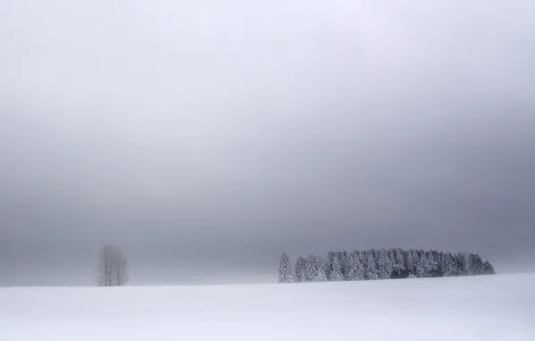 Картинка зима, поле, лес, небо, облака, снег, деревья, пейзаж