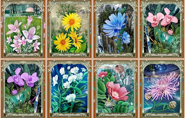 Картинка цветы, времена года, живопись, орхидеи, коллаж из картин, художник Константин Авдеев, весна-лето-осень-зима, колокольчики-ромашки-цикорий-шиповник-хризантема