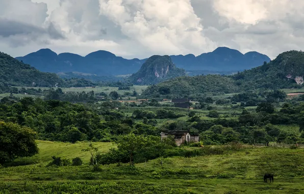 Картинка фото, Природа, Горы, Поля, Пейзаж, Cuba, Vinales